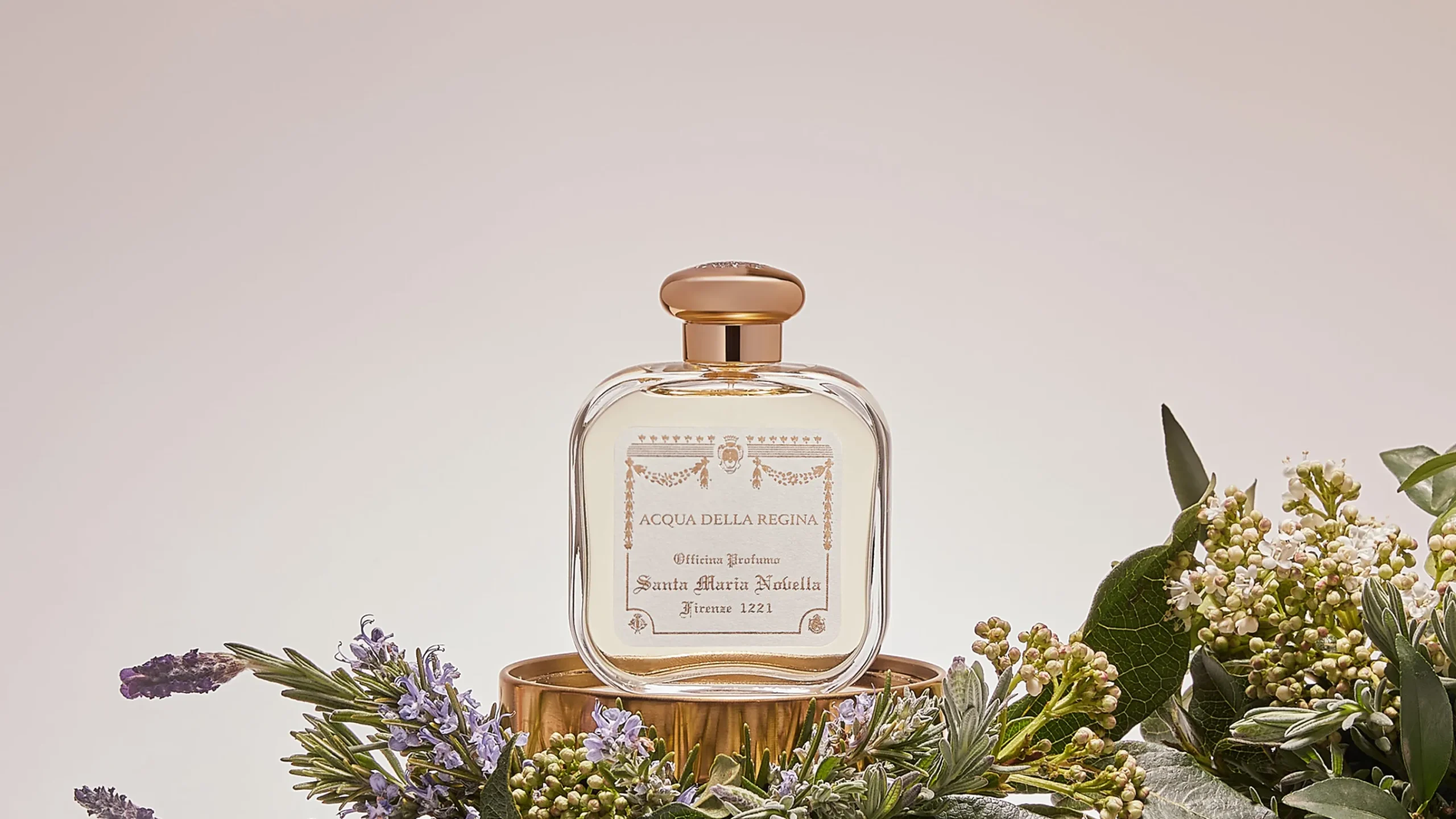 acqua_della_regina_1.webp Hot Santa Maria Novella Acqua della Regina
