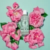 Online Santa Maria Novella Acqua di Rose
