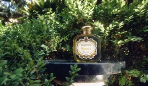 Sale Santa Maria Novella Bizzarria