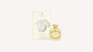 Sale Santa Maria Novella Bizzarria