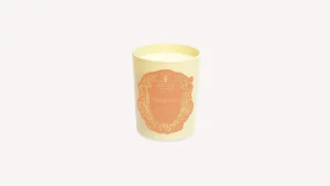 Shop Santa Maria Novella Candela Profumata Meriggio