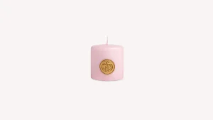 Best Santa Maria Novella Candela Profumata Rosa