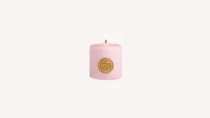 Best Santa Maria Novella Candela Profumata Rosa