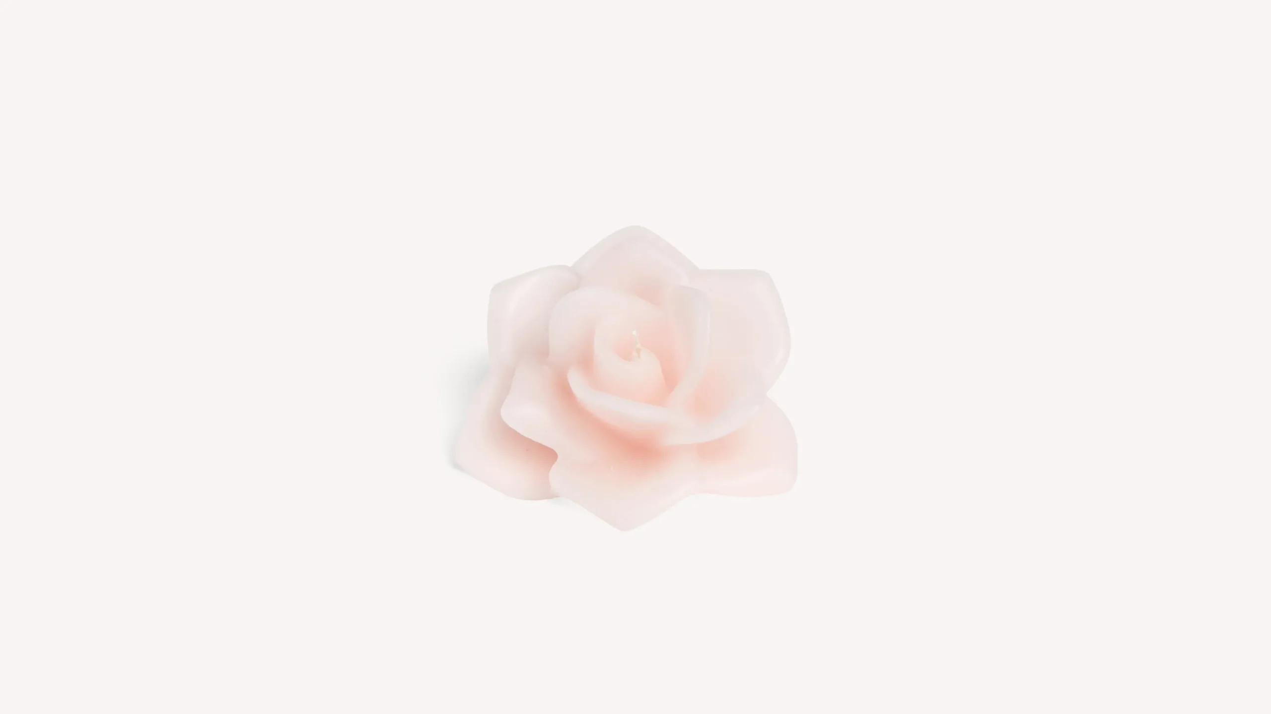 candela_rosa_profumata_0.webp Clearance Santa Maria Novella Candela Rosa Profumata