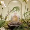Fashion Santa Maria Novella Crema Fluida Fresia
