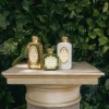 Cheap Santa Maria Novella Crema Fluida Gelsomino