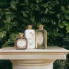 Clearance Santa Maria Novella Crema Fluida Magnolia