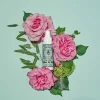 Hot Santa Maria Novella Crema Gel Acqua di Rose