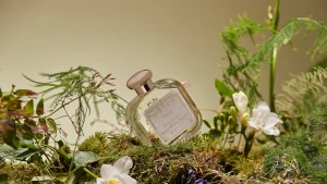 Best Santa Maria Novella Fresia