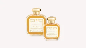 Store Santa Maria Novella Muschio Oro