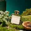 Hot Santa Maria Novella Pot Pourri