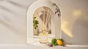 Clearance Santa Maria Novella Profumo per Ambiente Acqua della Regina