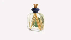 Cheap Santa Maria Novella Profumo per Ambiente America