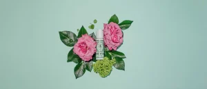Hot Santa Maria Novella Siero Acqua di Rose